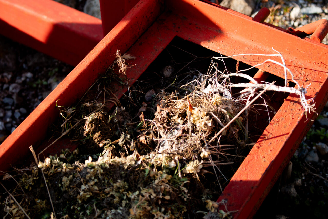 レンズを購入して